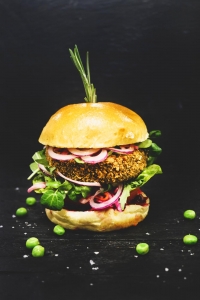 Vegan Aromatic Garden Burger